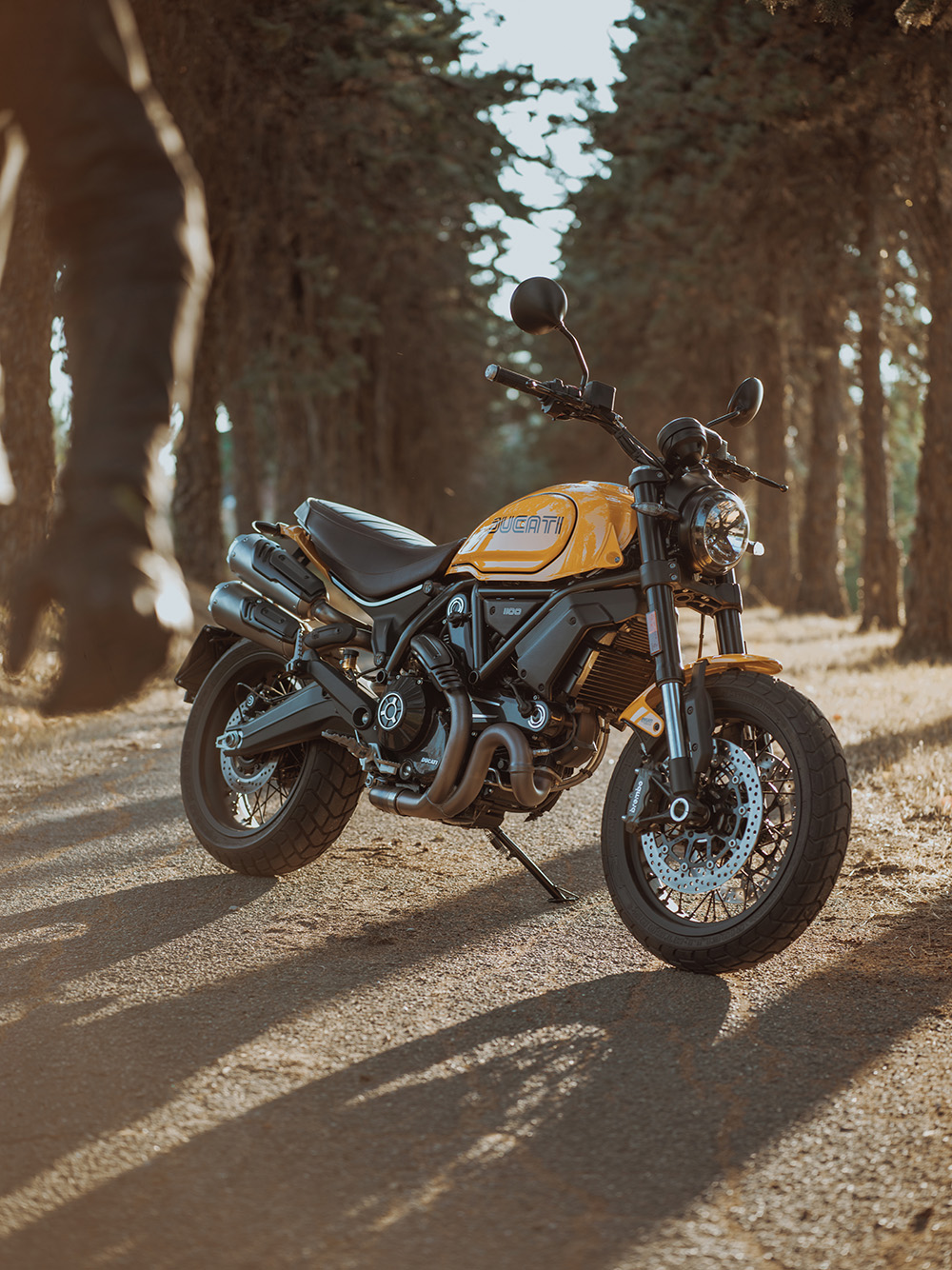 Insideracing Ducati Scrambler Tribute Pro