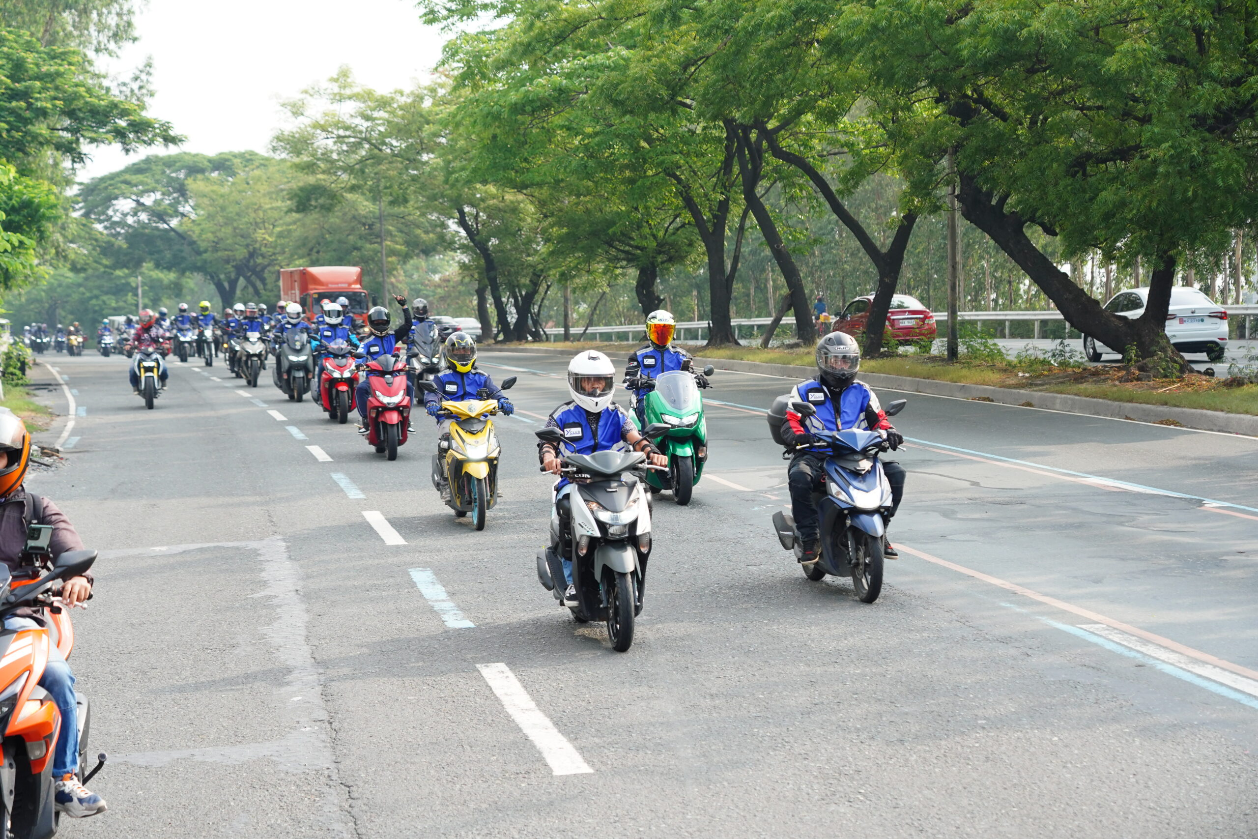 PMA01433
