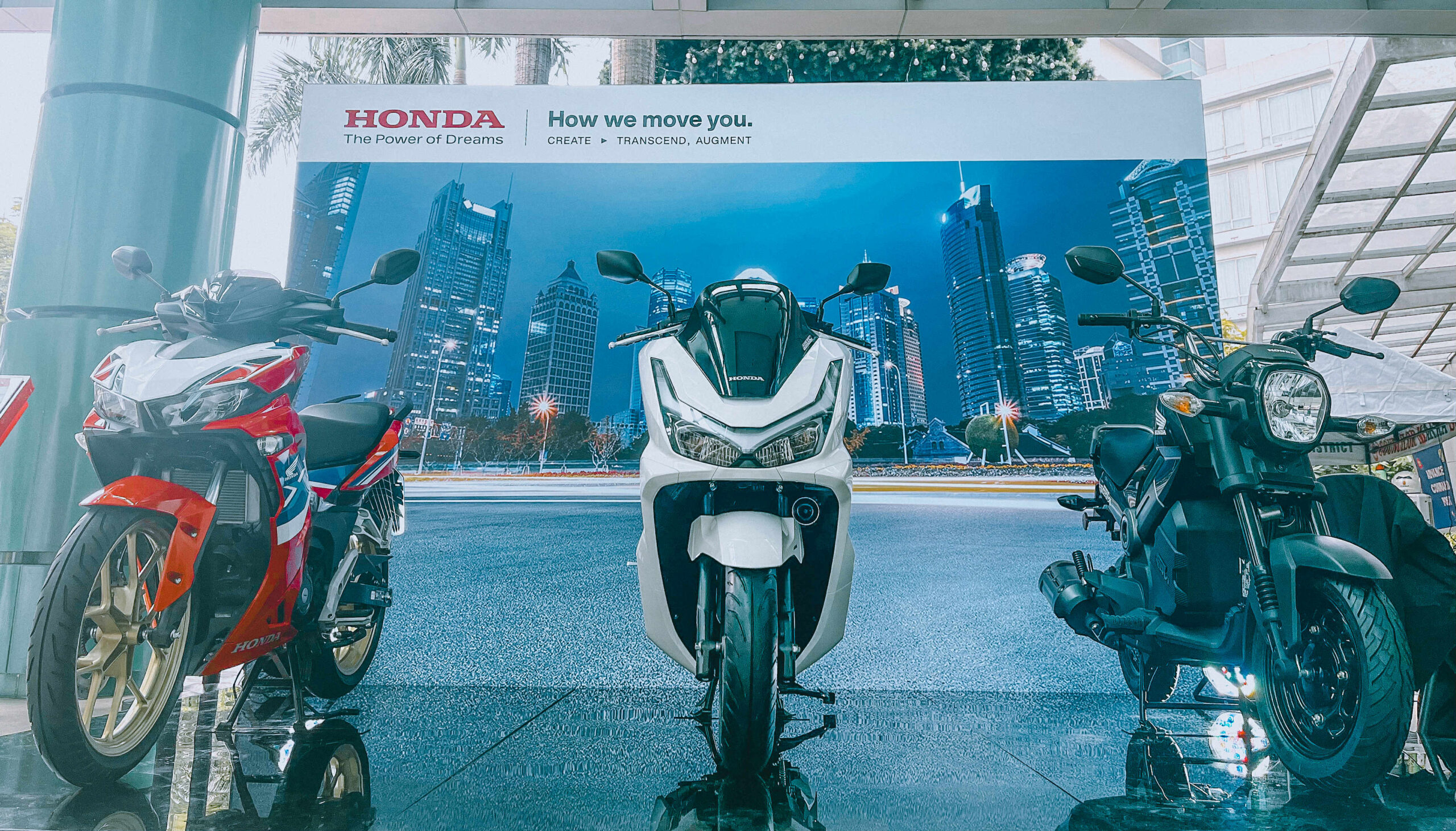 Mc Display Araneta